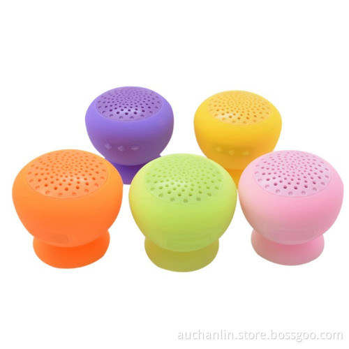 Bluetooth Speaker with USB/Micro-SD